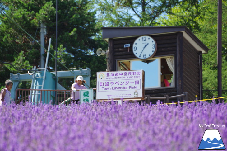 カメラを片手に夏の中富良野～上富良野・ラベンダー花畑巡り☆